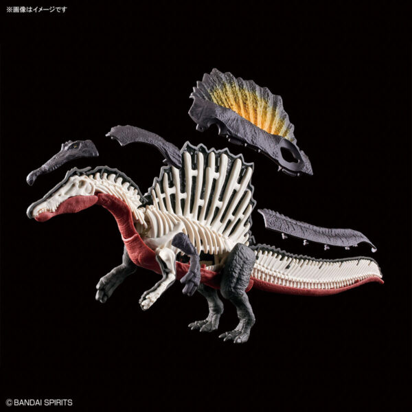 Plannosaurus 05 - Spinosaurus 棘龍：圖片 11