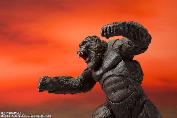 S.H.MonsterArts - Kong [From Godzilla Vs. Kong] 金剛 (2021)：圖片 7