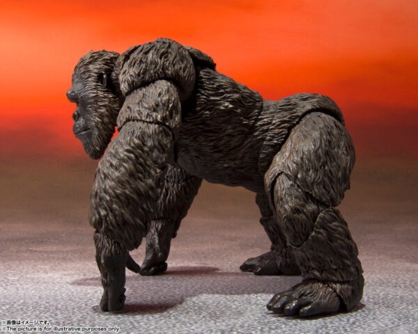 S.H.MonsterArts - Kong [From Godzilla Vs. Kong] 金剛 (2021)：圖片 3