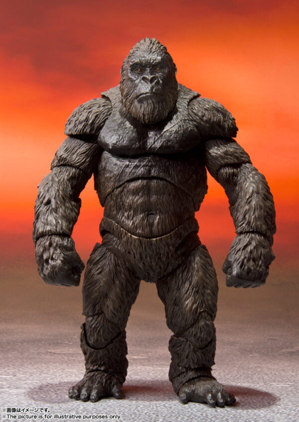 S.H.MonsterArts - Kong [From Godzilla Vs. Kong] 金剛 (2021)：圖片 2