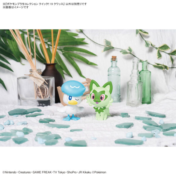 PokémonPlamo Collection Quick 19 - クワッス 潤水鴨：圖片 8