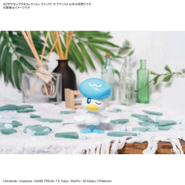 PokémonPlamo Collection Quick 19 - クワッス 潤水鴨：圖片 7
